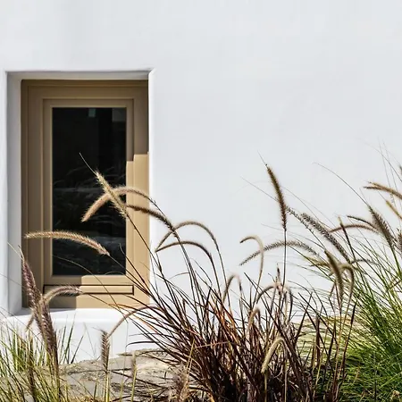 Camarades Mykonos Ano Mera