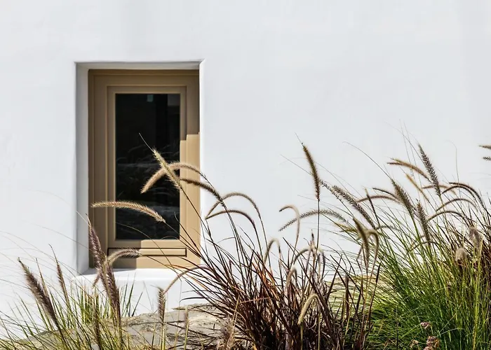 Camarades Mykonos Ано Мера