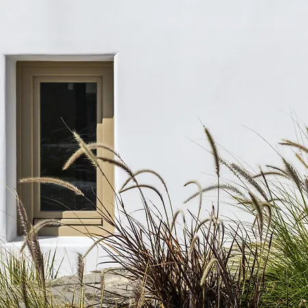 Camarades Mykonos Ano Mera